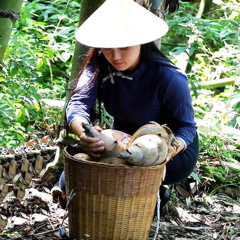 柳州红油酸笋小包装正宗广西特产螺蛳粉臭酸笋丝开店专用竹笋