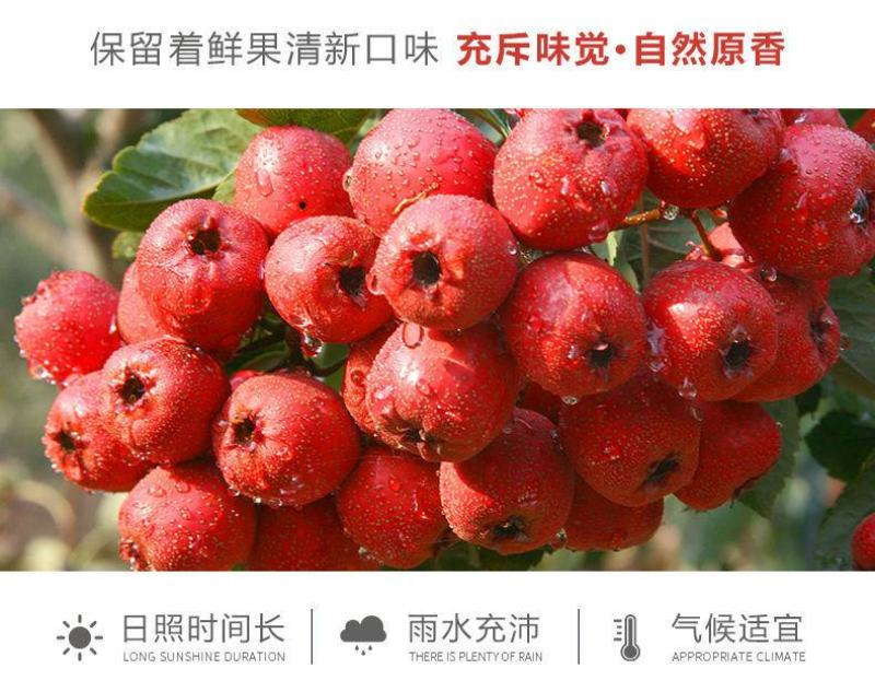 【厂家】【热卖款】山楂条桑葚山楂条纯手工山楂条包邮