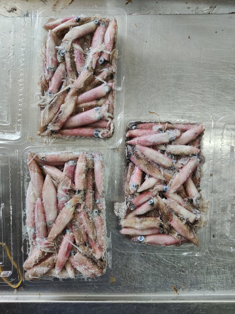 船冻小管鱿鱼笔管
