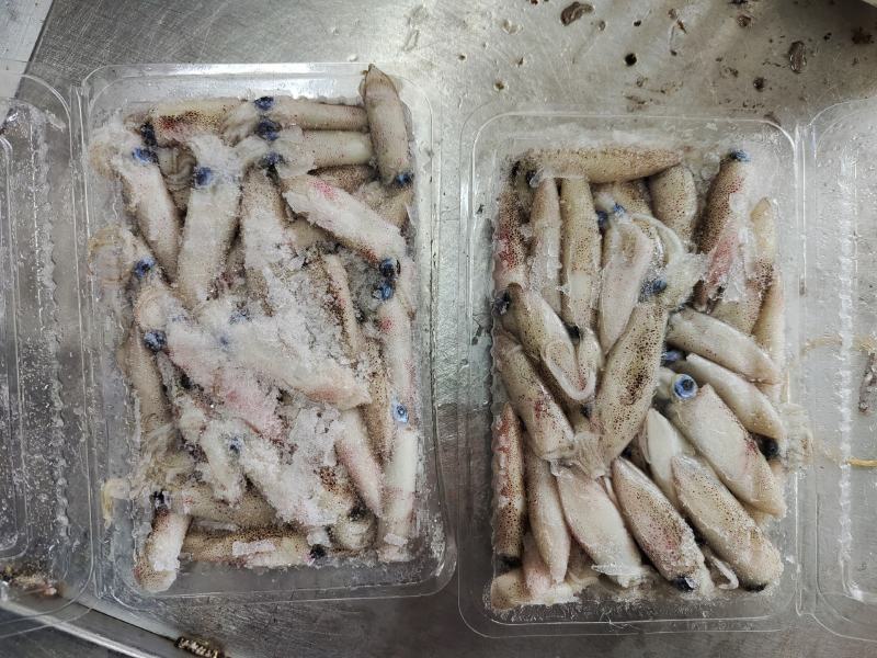 船冻小管鱿鱼笔管