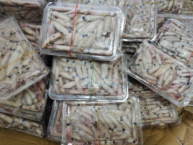 船冻小管鱿鱼笔管