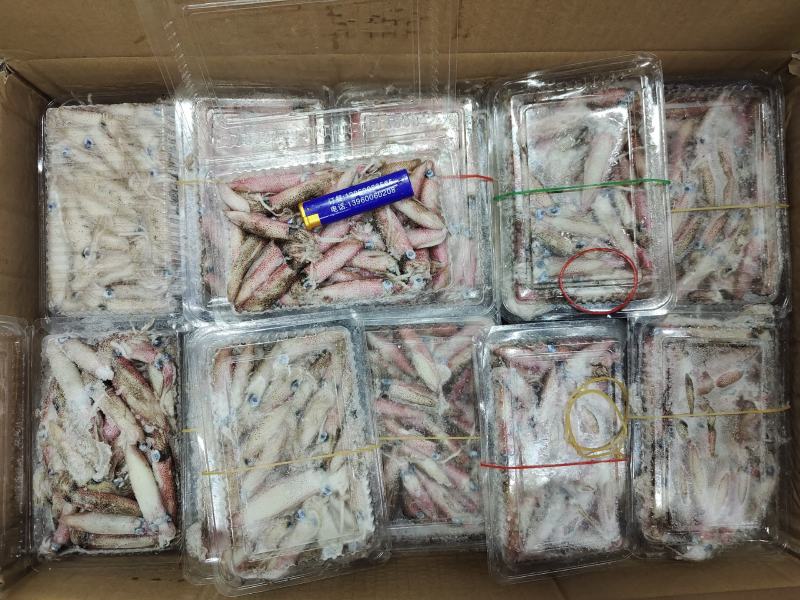 船冻小管鱿鱼笔管