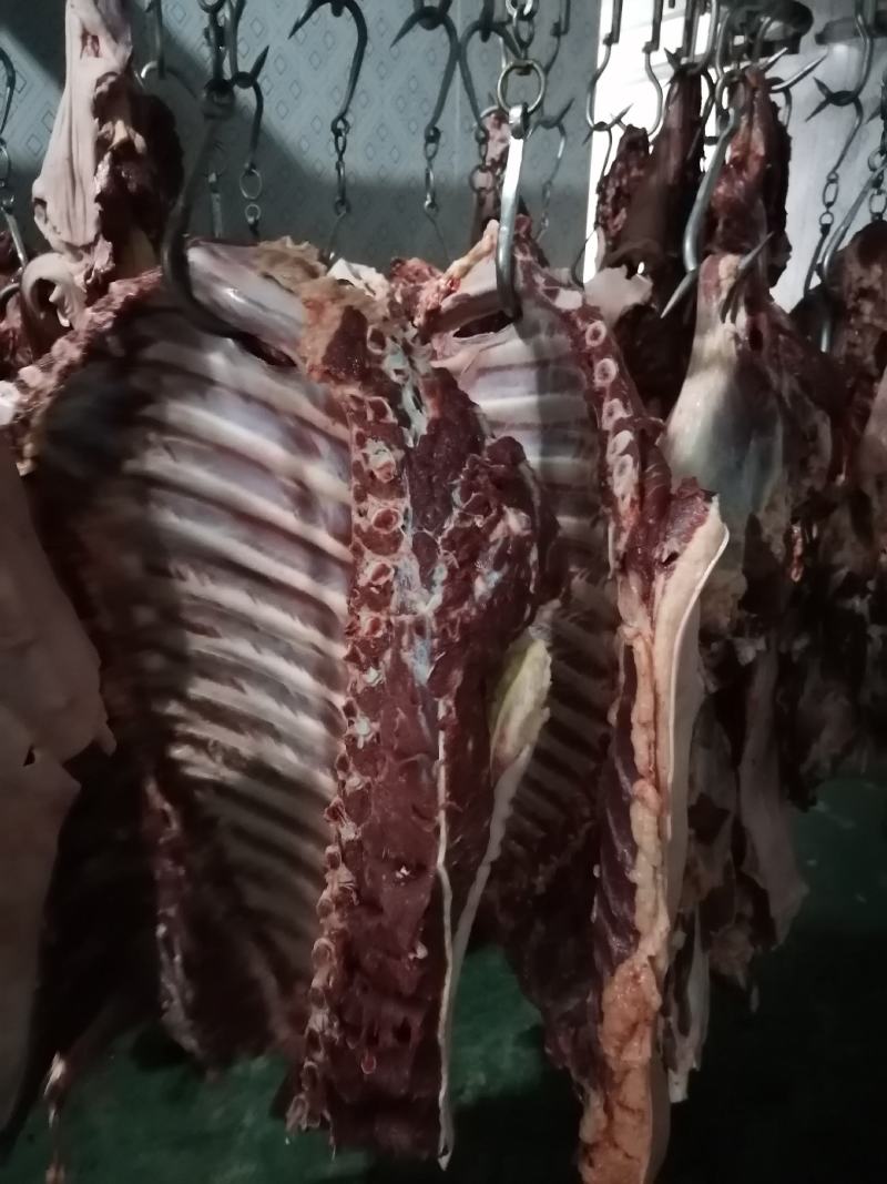鲜马肉鲜驴肉，带皮的，去皮的，驴排马排，大量供应