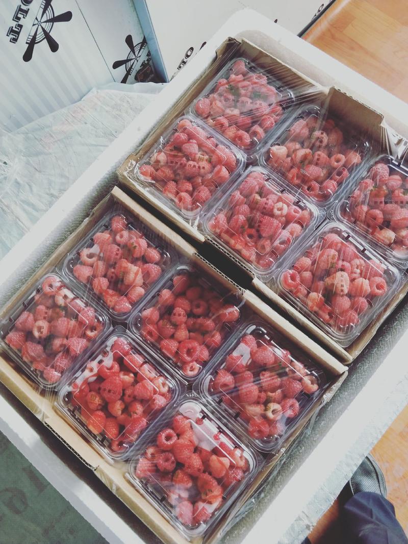 新鲜红树莓鲜果上市了
