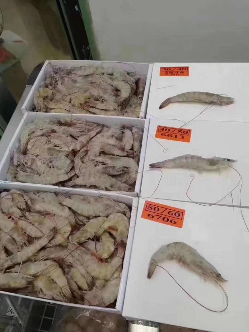 鲜活速冻海洋大虾，各种规格齐全货源充足，保证货物质量问题