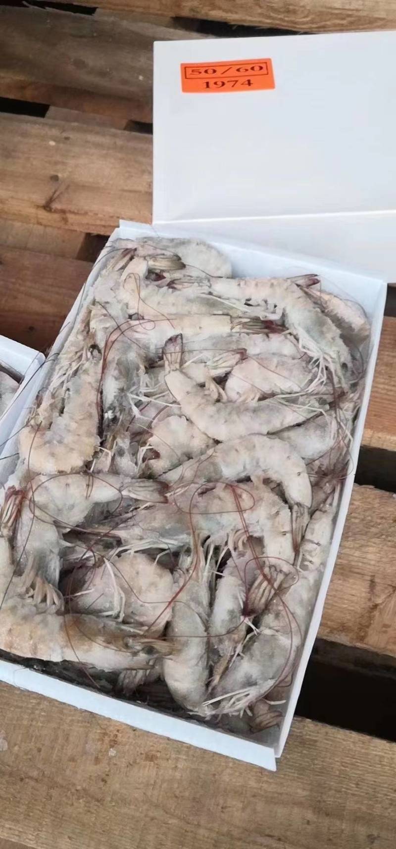 鲜活速冻海洋大虾，各种规格齐全货源充足，保证货物质量问题