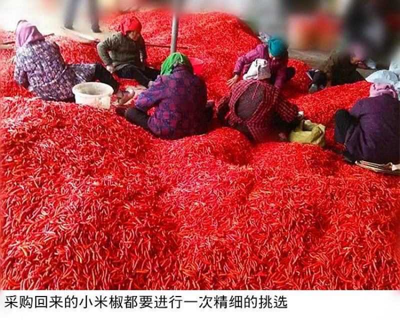剁辣椒湖南特产农家自制纯手工超辣特辣鱼头下饭香辣剁椒酱