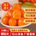 【厂家】咸蛋黄烘焙生咸鸭蛋黄制品包粽子蛋黄酥红心包邮