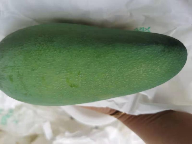 云南产地直销热带水果金煌芒大量上市货源充足需要的老板欢迎
