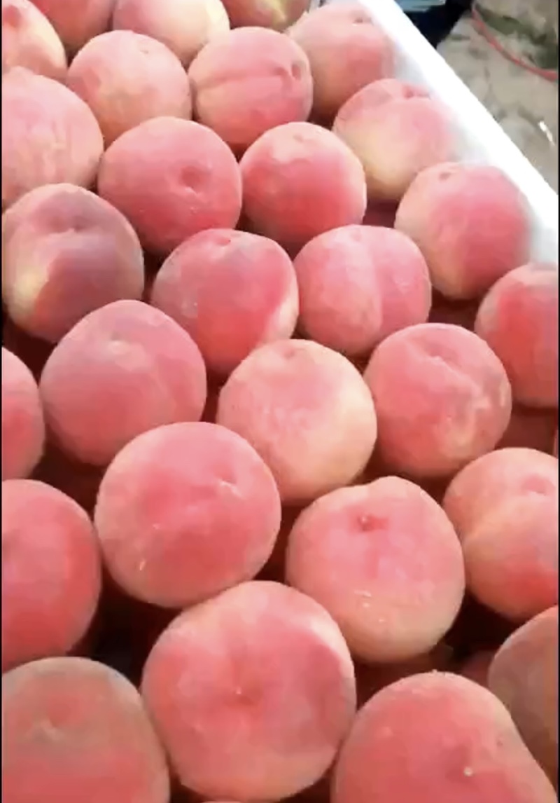 个头大鲜艳口感脆爽甜量大可以优惠