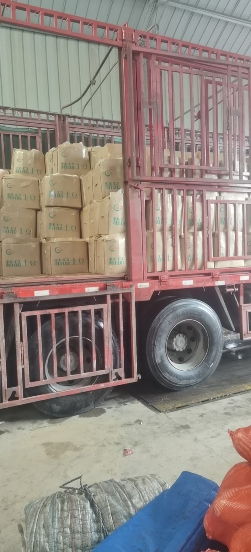 精品黄皮黄心大土豆，质量保证价格美丽整车发车