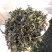 黄旦茶叶惠来土山茶潮汕工夫茶大坪土山茶诏安富硒八仙茶1斤