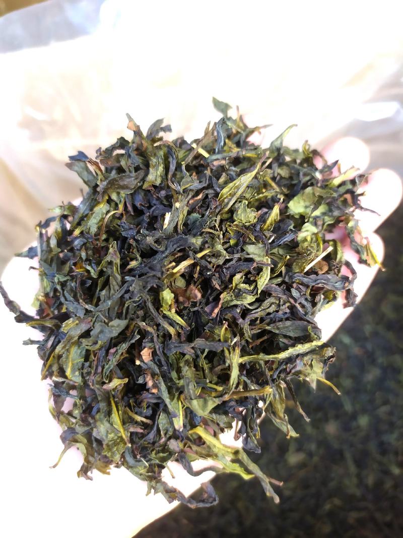 黄旦茶叶惠来土山茶潮汕工夫茶大坪土山茶诏安富硒八仙茶1斤
