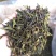 黄旦茶叶惠来土山茶潮汕工夫茶大坪土山茶诏安富硒八仙茶1斤