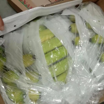 质量保证，口感糯甜，没有臭角
