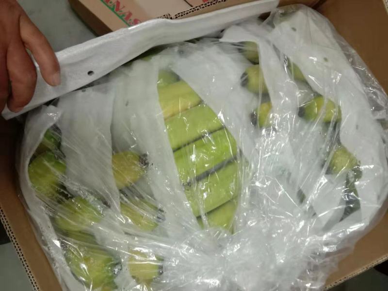 质量保证，口感糯甜，没有臭角