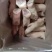 猪蹄，猪前蹄，一件代发，量大从优，欢迎您的光临！