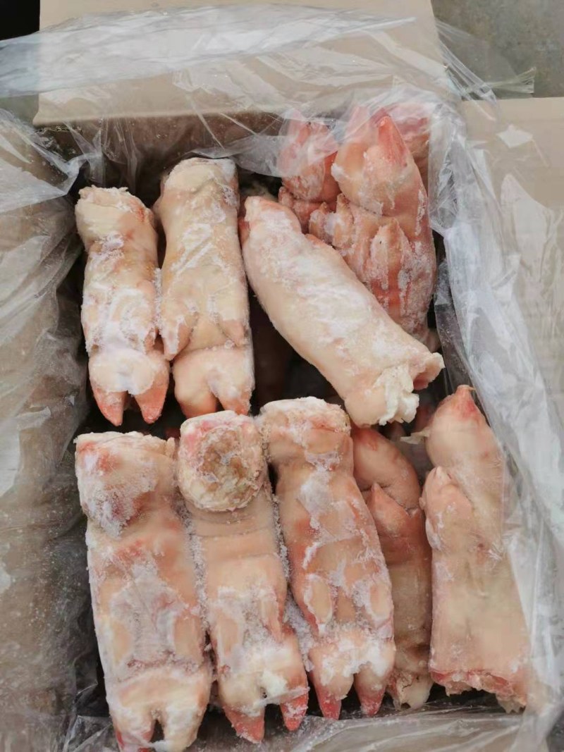 猪蹄，猪前蹄，一件代发，量大从优，欢迎您的光临！