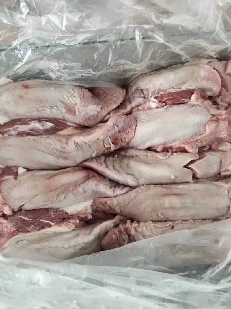 猪口条，国产猪口条，一件代发，量大从优，欢迎您的光临！