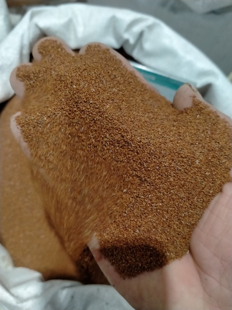 葶苈子，大货批发产地直销一手货源品质好，价格优，欢迎选购