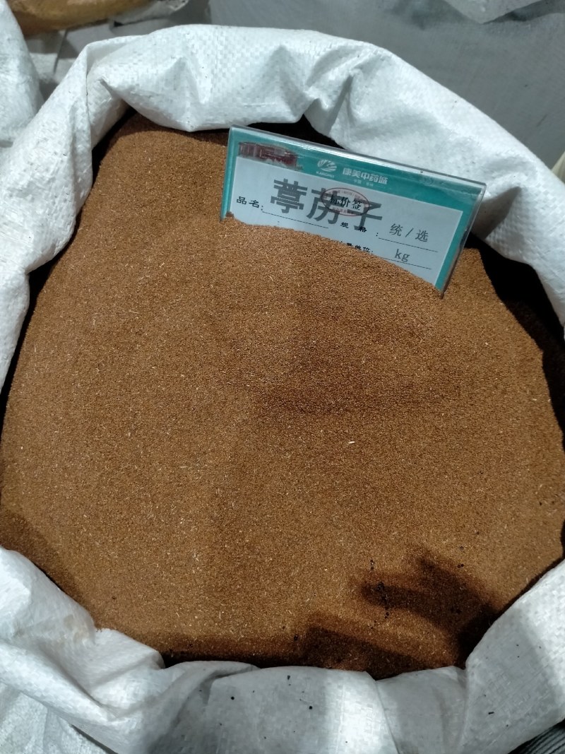 葶苈子，大货批发产地直销一手货源品质好，价格优，欢迎选购