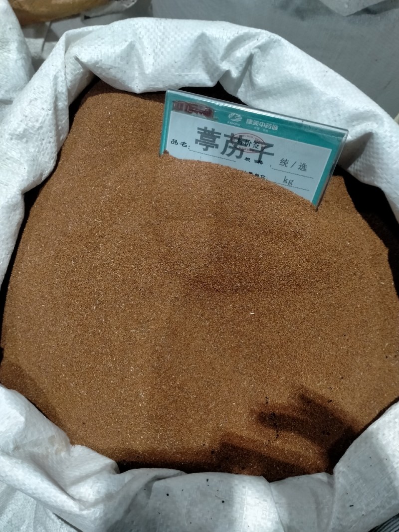 葶苈子，大货批发产地直销一手货源品质好，价格优，欢迎选购