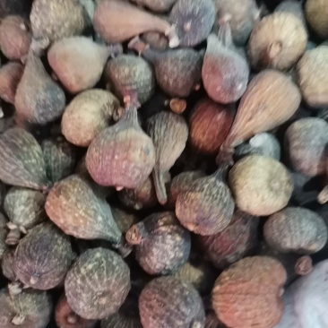优质无花果干药用食用量大从优欢迎选购