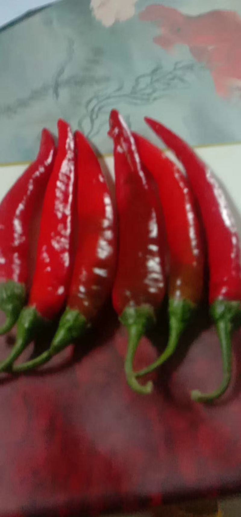 邯郸精品辣椒，主营长沙，南昌荆州，赣州，