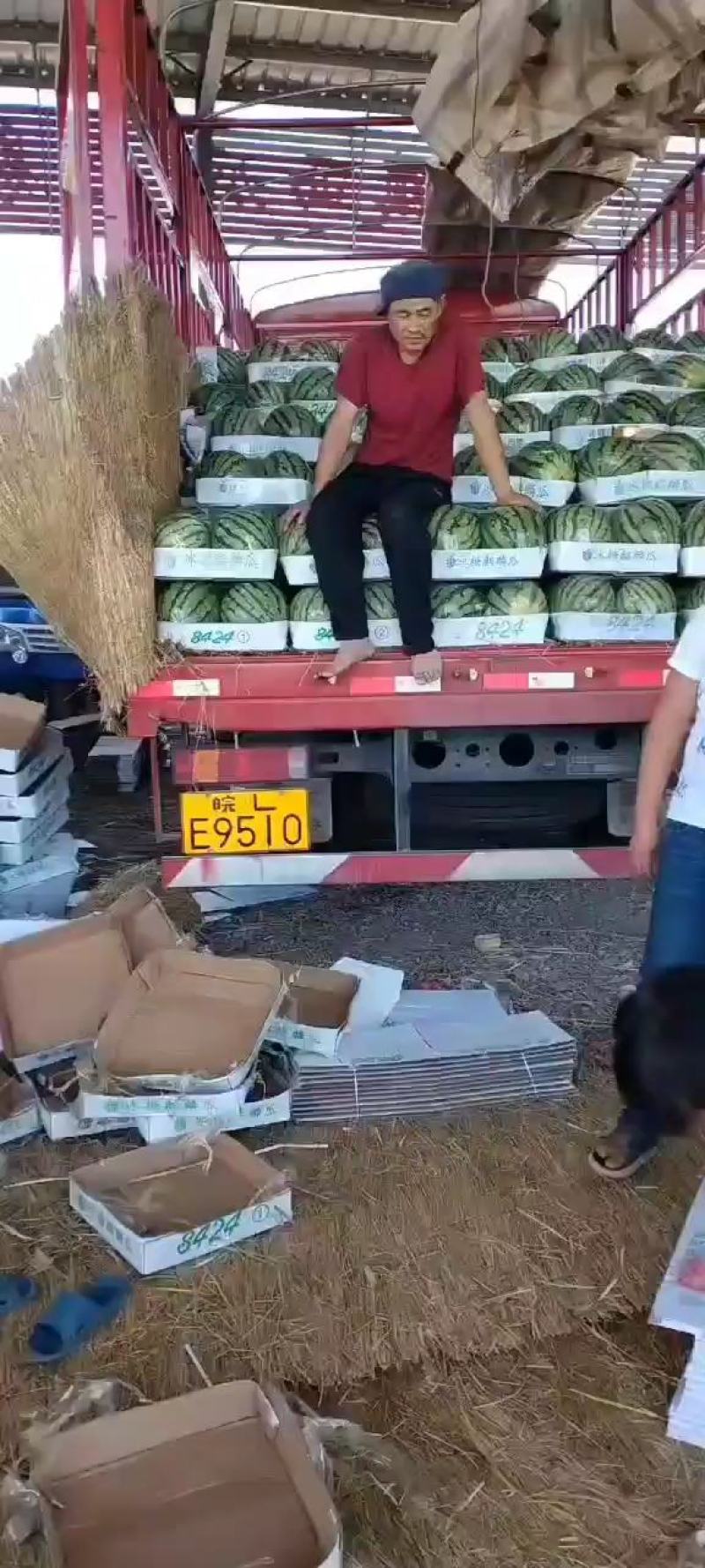 麒麟美都西瓜，熟度9成糖度13个左右宁夏中卫产区