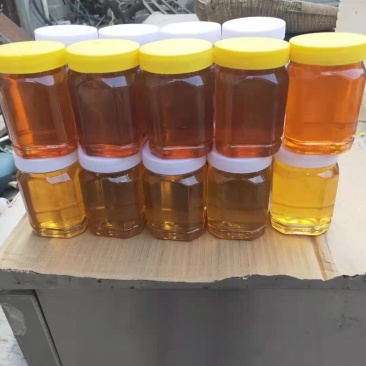 沂蒙山农家蜂蜜