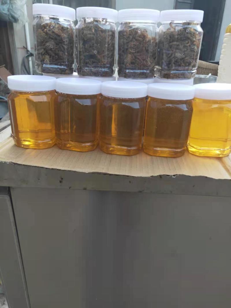沂蒙山农家蜂蜜