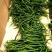 二荆条大量本地薄皮上市，货源充足需要的联系。