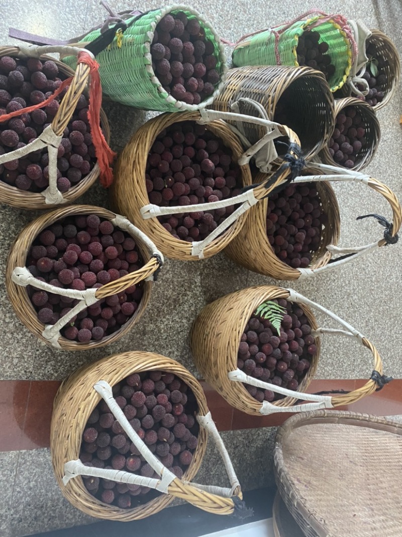荸荠杨梅上市了个头大黑甜大量上市欢迎客商电话订货