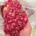平阴玫瑰花沫子花托子玫瑰原产地种植加工基地