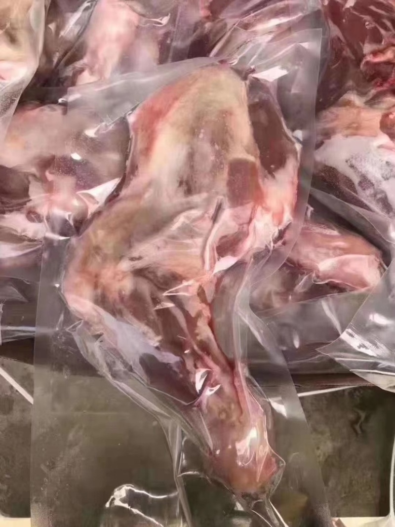 热销羔羊前腿各种规格纯干纯瘦可全国发货基地直发一手货源