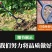 户外开荒工具翻土神器深翻器耙子农用人工翻地松土挖土翻地叉