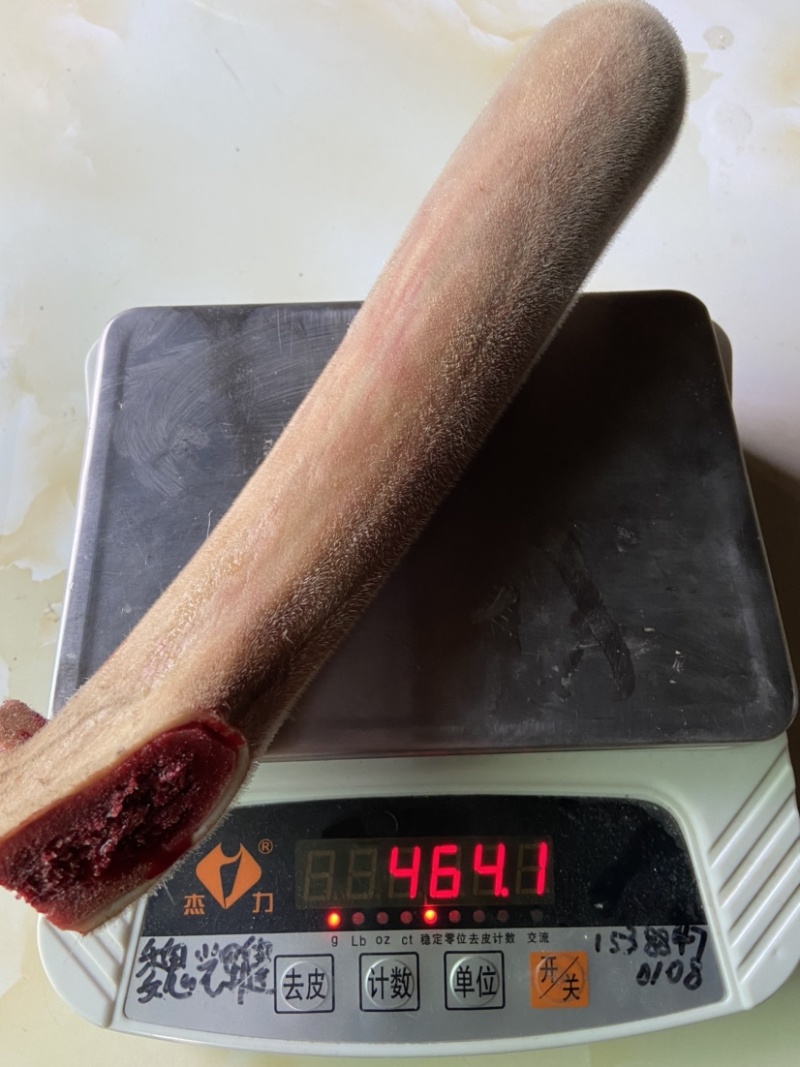 【推荐】专业养殖纯东北亚种梅花鹿精品鹿茸基地直发，欢迎