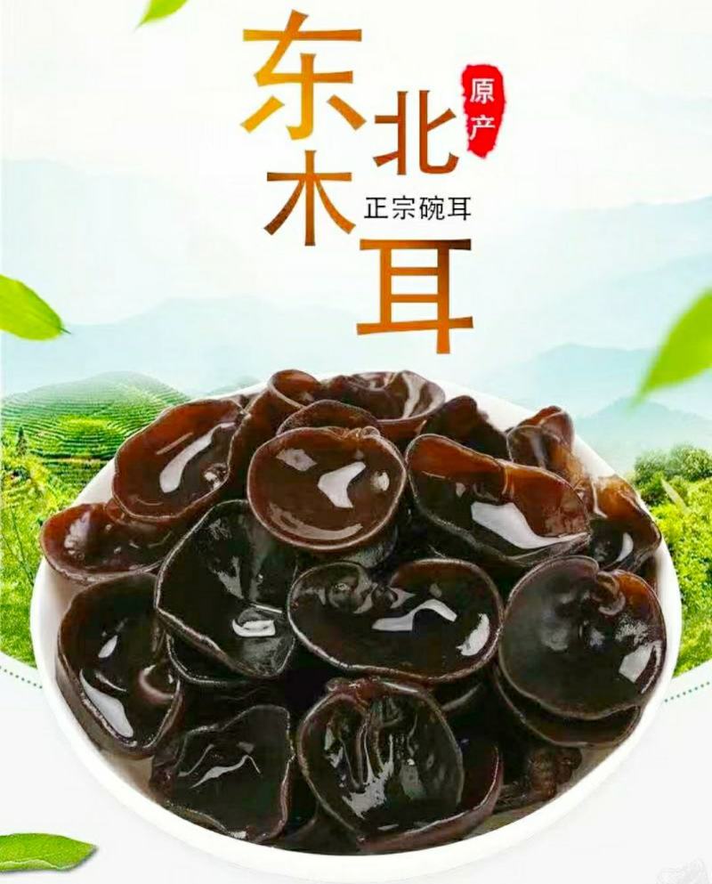 东北黑木耳椴木小碗耳肉厚无根营养美味干货包邮