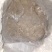 豆渣