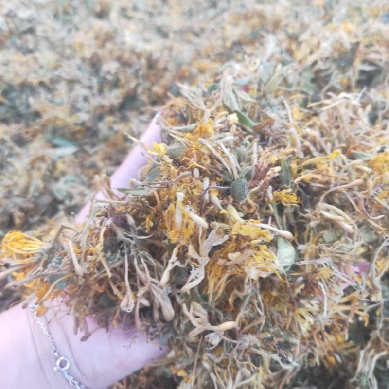 大量供应金银花全开花，品质保证，质量不好可退货