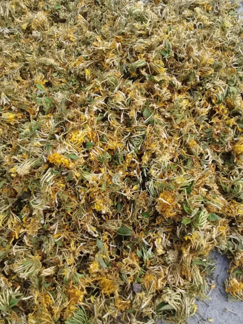 大量供应金银花全开花，品质保证，质量不好可退货