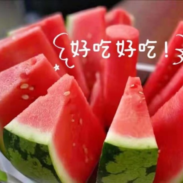 夏宝，夏乐，甜蜜蜜西瓜口感好脆甜量大从优，