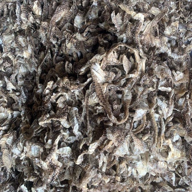 中药材水洗蛇蜕蛇蜕皮蛇退龙衣蛇皮长虫皮包邮
