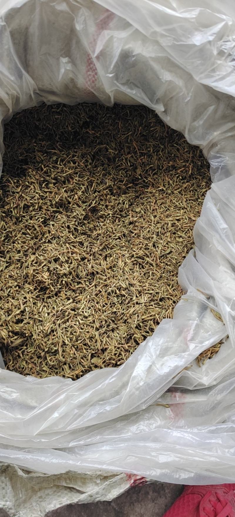 精品贵州安龙金银花花苞未开生晒无硫纯野生，欢迎咨询