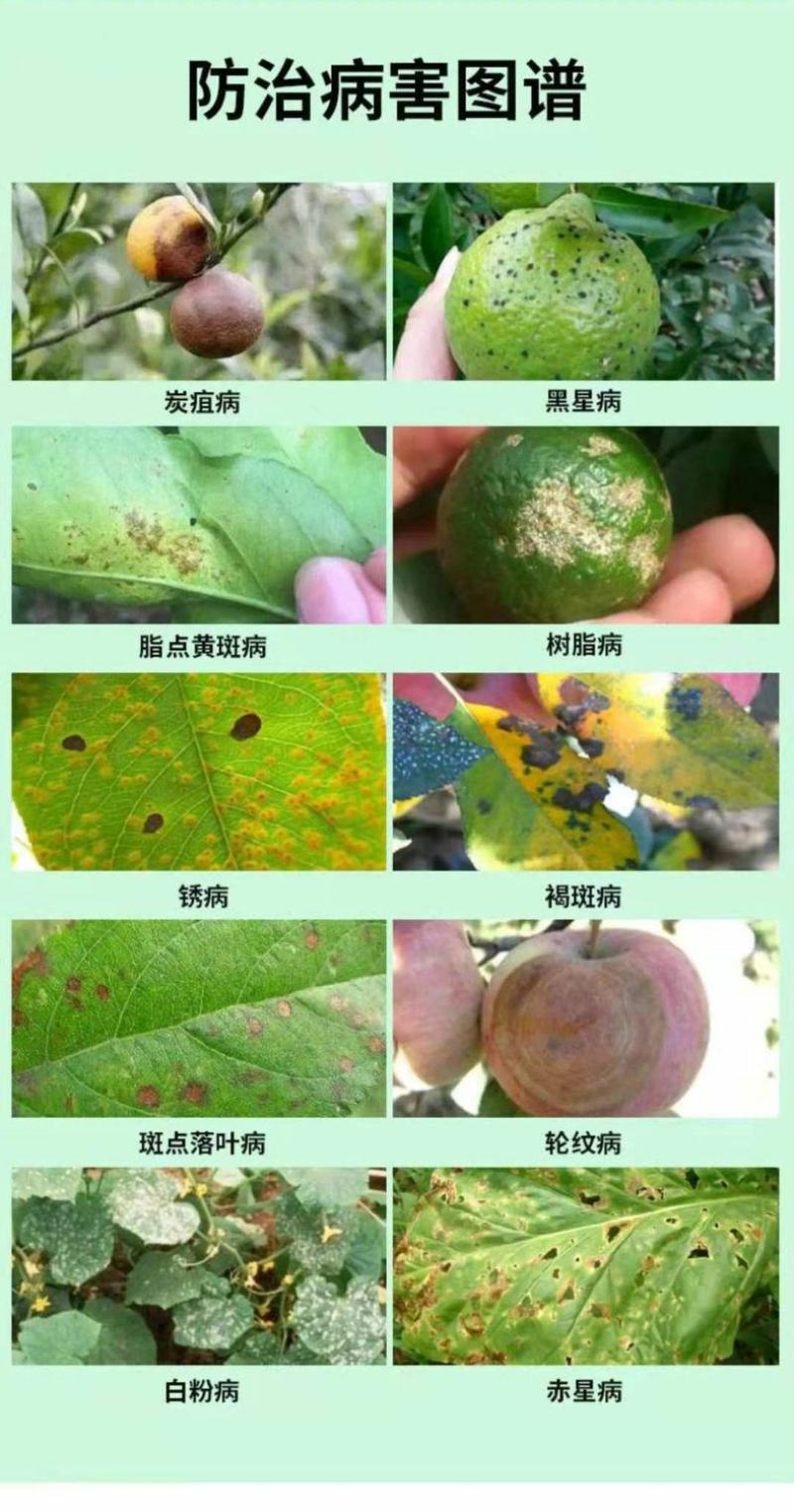 沪联25%氟硅唑咪鲜胺白腐病炭疽病黑痘病叶斑白粉病杀菌剂