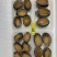 泓振鲍源鲍鱼冻鲍鱼真空包装250克电商社区款6-15头