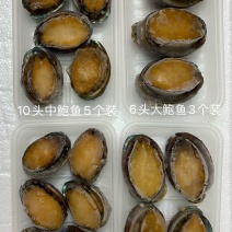泓振鲍源鲍鱼冻鲍鱼真空包装250克电商社区款6-15头