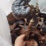 广西金秀大瑶山枫树自然生长野生黑灵芝