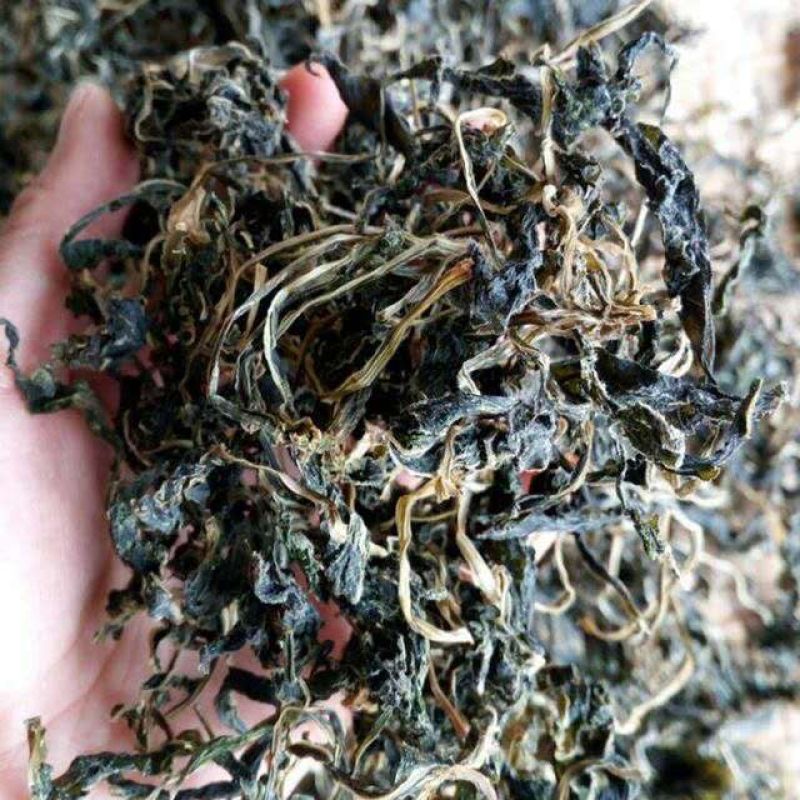 苦菜干