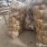 精品土豆荷兰十五土豆市场货电商货加工厂货